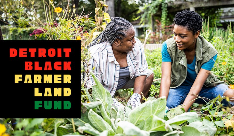 Photo of Black farmers