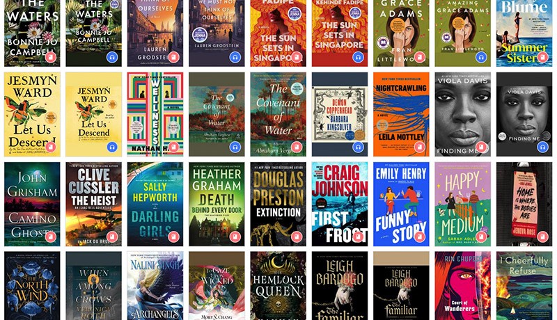 Illustration: Selection of e-books and e-audiobooks