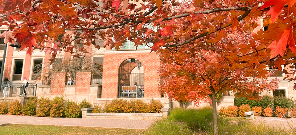 Brick buildings at Eastern Kentucky University Libraries