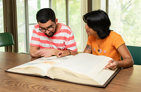 University of Maryland, Art Library seminar room