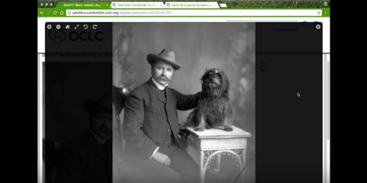 Responsive website image viewer