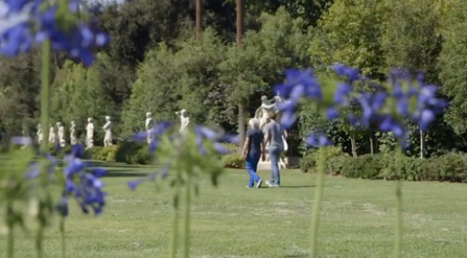 Comparta sus colecciones en línea para fomentar la difusión de la información